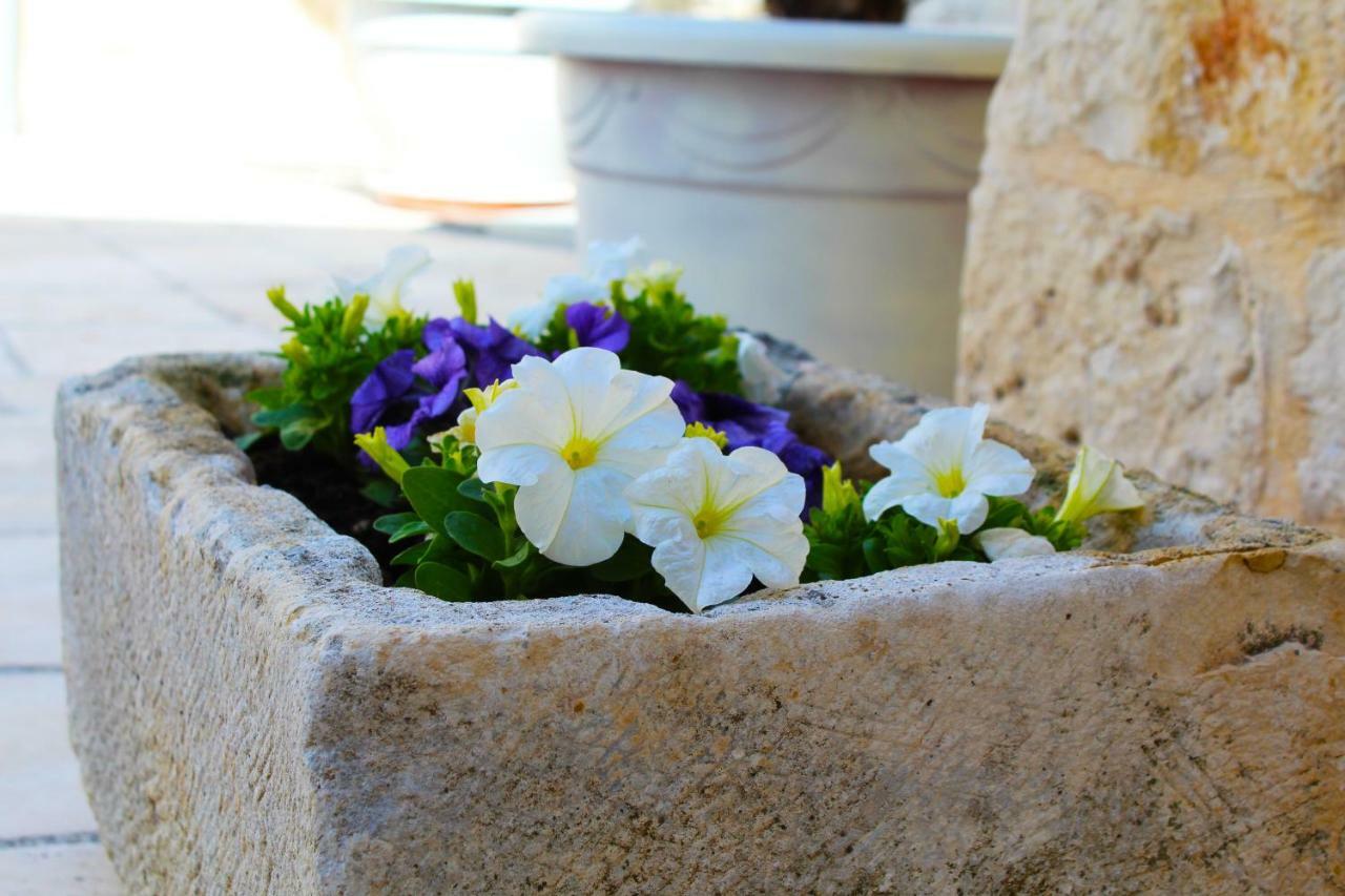 Trulli Antica Fonte Panzió Alberobello Kültér fotó