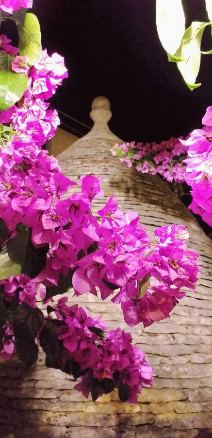 Trulli Antica Fonte Panzió Alberobello Kültér fotó